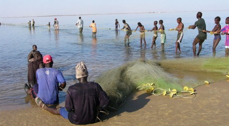 Des pêcheurs du delta du fleuve Sénégal, by eutrophication&hypoxia via Flickr CC 