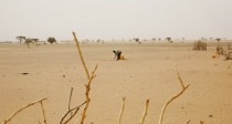 Esclavage: les derniers négriers mauritaniens