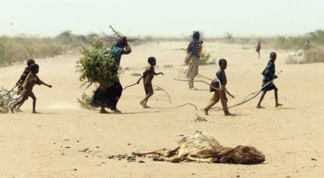 A family gathers sticks and branches for firewood, by Oxfam East Africa via Flickr CC