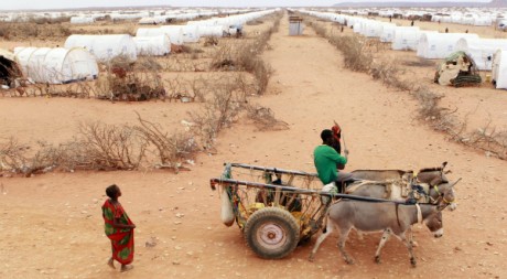 Camp de réfugiés somaliens fuyant la sécheresse et la famine, août 2011. © REUTERS/Thomas Mukoya