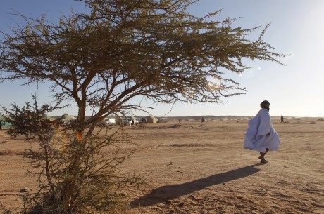 Le désert du Sahara. Reuters/Juan Medina