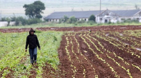 Un fermier sud-africain, le 15 février 2010. Reuters/Siphiwe Sibeko