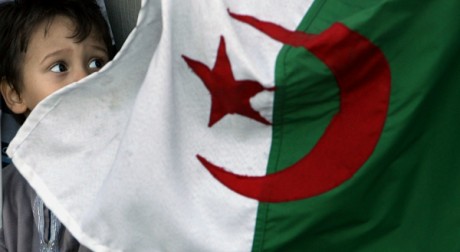 Beaucoup d'Algériens n'iront pas fêter les 50 ans de l'indépendance. FAYEZ NURELDINE / AFP