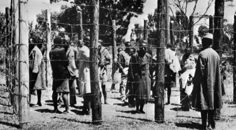 Des prisonniers Mau Mau dans la réserve de Kikuyu, octobre 1952. © AFP