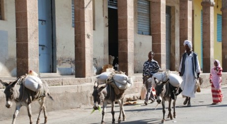 Des Erythréens dans une nrue d'Asmara, la capitale © PETER MARTELL / AFP