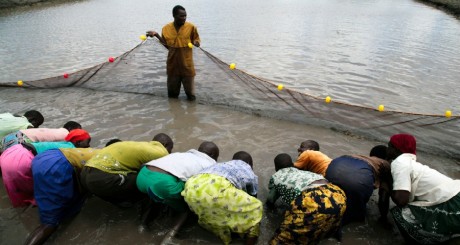 Ferme piscicole à Lira, Ouganda, 2007 / REUTERS