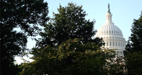 Une vue du Capitole à Washington, octobre 2013 / Reuters