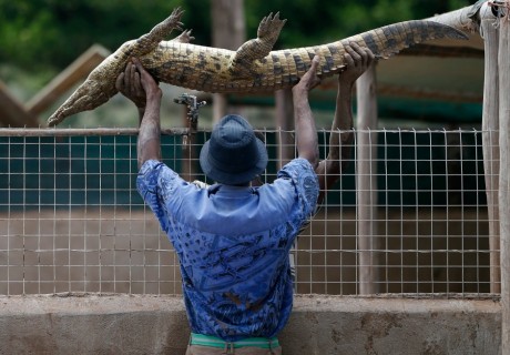 Un gardien de zoo en Afrique du Sud, REUTERS/Mike Hutchings