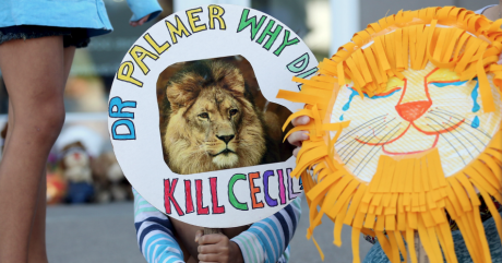 Manifestation devant la clinique où travaille James Palmer, l’Américain qui a tué Cecil le lion. Photo: REUTERS/Eric Miller
