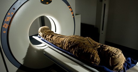 Une momie égyptienne vieille de 3.000 est analysée au Saad centre à l'université de Londres en 2009. LEON NEAL / AFP