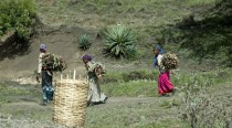 Le peuple Omo sacrifié pour un barrage éthiopien