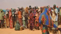 Pourquoi l'Afrique n'arrive pas à enrayer la famine