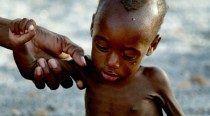 Sahel: vers une grave crise alimentaire