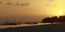 À Zanzibar, le tourisme à fleur de peau