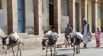 Pourquoi l'Erythrée arme sa population