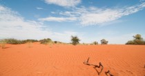 Une nappe phréatique géante pourrait changer le visage de la Namibie