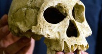 Pourquoi la nouvelle espèce humaine découverte se nomme Homo naledi?