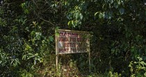 À Zika, la forêt ougandaise où est né le virus, beaucoup de questions restent sans réponses