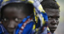 Comment une taxe illégale sur les chenilles a fait 20 morts au Congo