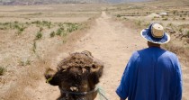 Avec la COP22, le Maroc veut réussir sa mue écologique