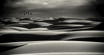 Les oasis pourraient bientôt n'être plus qu'un mirage dans le Sahara