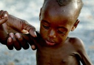 Sahel: vers une grave crise alimentaire