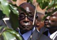 Mugabe aurait pu ne pas finir dictateur