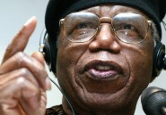 Nous n'avons pas fini de pleurer Chinua Achebe