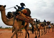 Les Touareg du Niger, un peuple apaisé