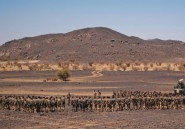 La France a trop tendance à oublier ses alliés dans la guerre au Mali