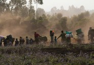 Le Rwanda de nouveau accusé d'alimenter la guerre à Goma