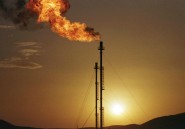 Le pétrole algérien: chronique d'une mort annoncée