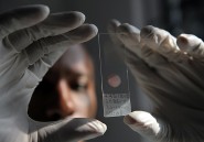Pour la première fois, un vaccin contre le paludisme va être testé à grande échelle